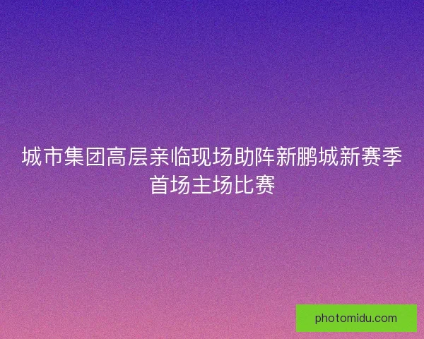 城市集团高层亲临现场助阵新鹏城新赛季首场主场比赛